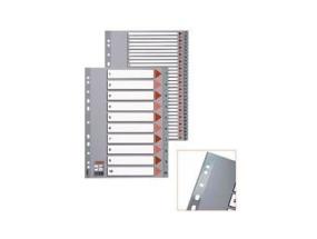 Jakaja Esselte PP, A4, tammi-joulukuu, muovi, muovia