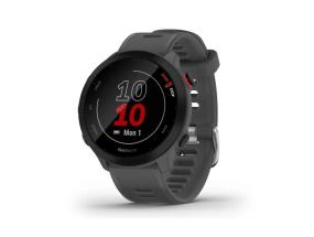 ÄLYKELLO FORERUNNER 55/HARMAA 010-02562-13 GARMIN
