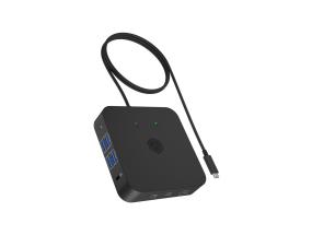 ICY BOX IB-DK4090-C 12-in-1 USB-tyyppi-C:ssä