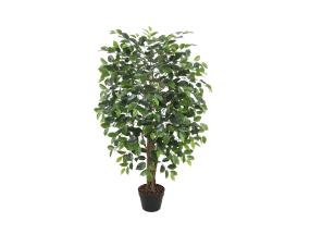 Tekopuu FICUS, H120cm, 1 runko, musta ruukku
