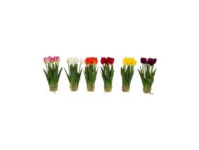 Tekokukka FLOWERLY 5, korkeat tulppaanit, sekoitus