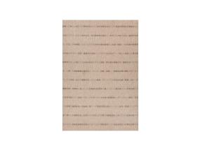 Etuoven matto DAWN FOAM-4, 80x300cm