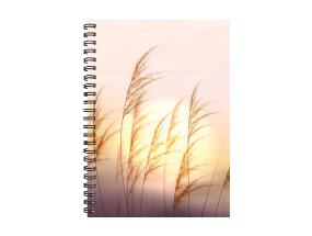 Kehyskalenteri Nature A5, kierresidonta, (kuva 2) 40242 40242