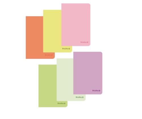 Kansio niitissä A4 BRADLEY ruudullinen muovikannet 40 arkkia