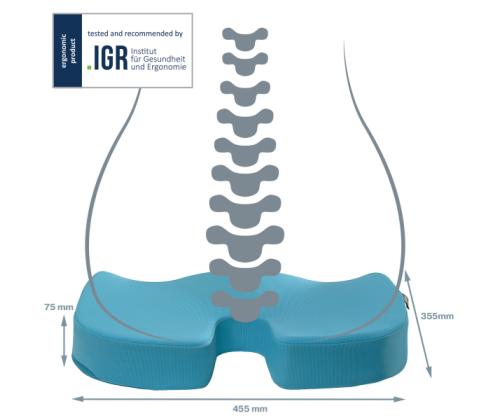 Istuintyyny ergonominen LEITZ Cozy sininen