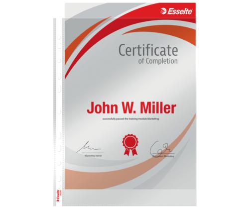 Muovitasku A4 yleisreijityksellä 105micr, Esselte 100 kpl/pkt