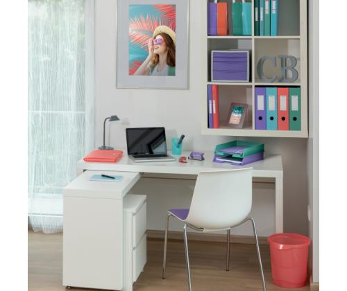 Rengaskansio A4 ESSELTE Väri´Ice 2R/25mm selkä 42mm sininen