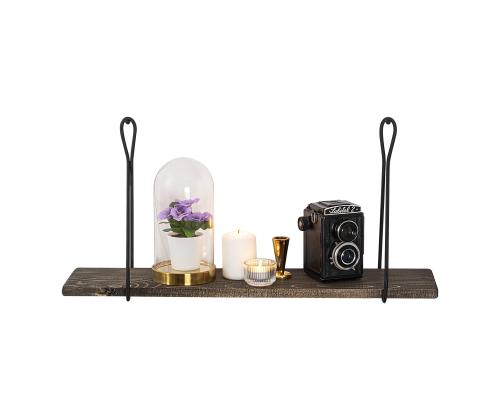 Amaryllis seinälle ripustettuna