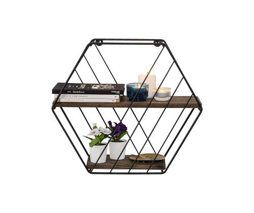 Seinähylly Liliales