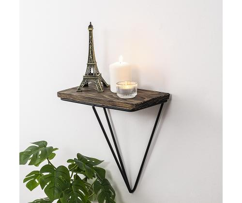 Phalaenopsis seinälle ripustettuna