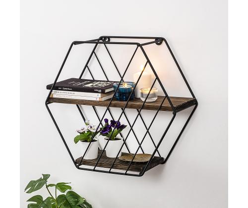 Seinähylly Liliales