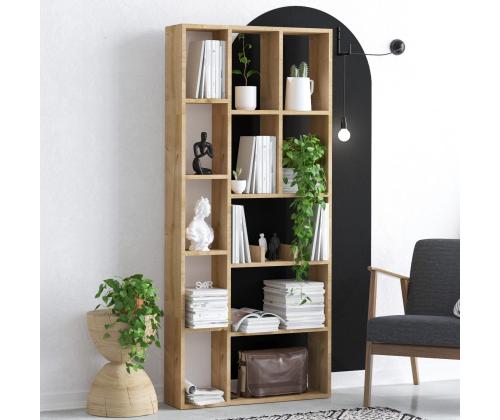 Demios Raamattu - Dec0067