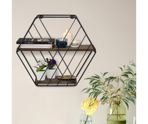 Seinähylly Liliales