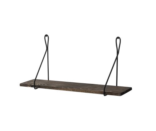 Amaryllis seinälle ripustettuna