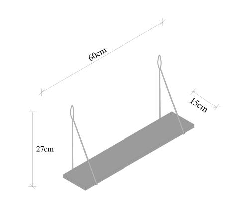 Amaryllis seinälle ripustettuna
