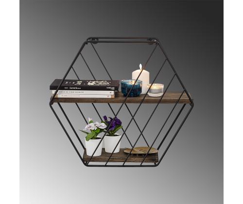 Seinähylly Liliales