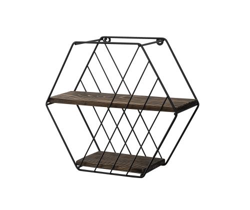 Seinähylly Liliales