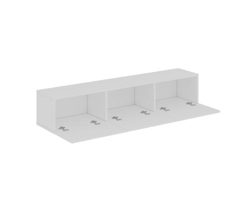 TV ylistää Oscarin - Valkoinen