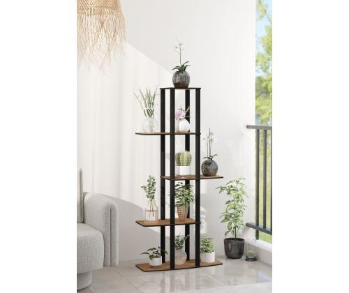 Gardenia kukkapenkki - pähkinä