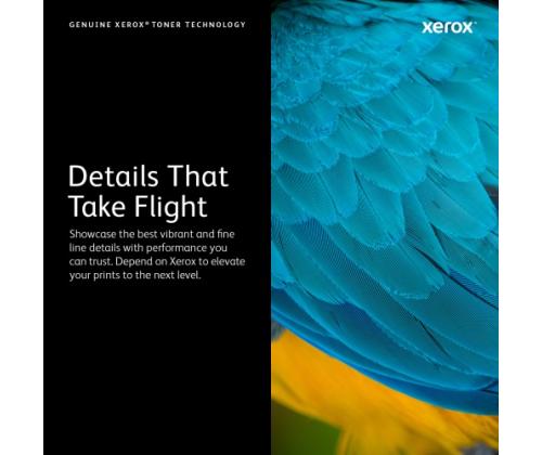 Xerox Toner DMO 7120 Yellow (006R01462)