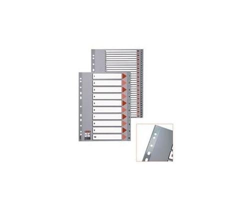 Jakaja Esselte PP, A4, tammi-joulukuu, muovi, muovia