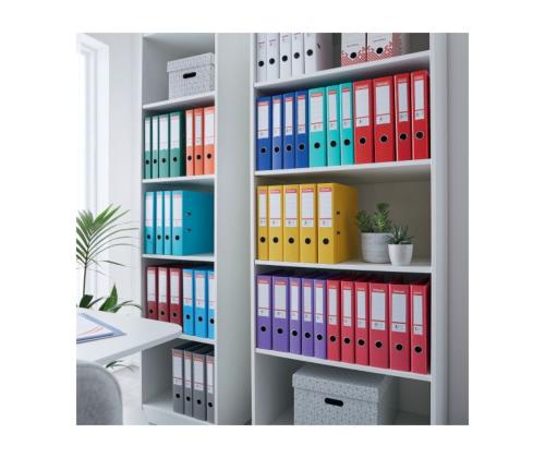 Registraator ESSELTE No.1 Power A4 50mm bordoo