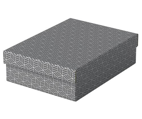 Säilytyslaatikko kannella ESSELTE Home Storage Box (265 x 100 x 360 mm) 3 kpl pakkauksessa