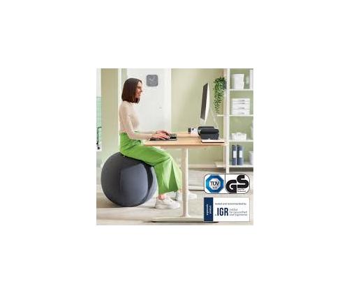 Istuinpallo ergonominen LEITZ Ergo 75cm.Anti-Roll-Away tummanharmaa