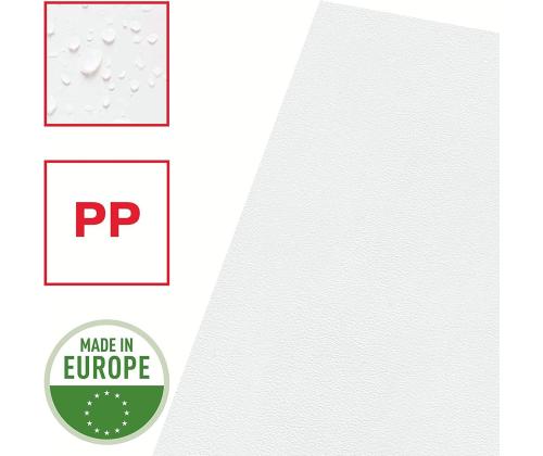 Muovitasku A4 (L) 100 mic Esselte 100 kpl paketissa