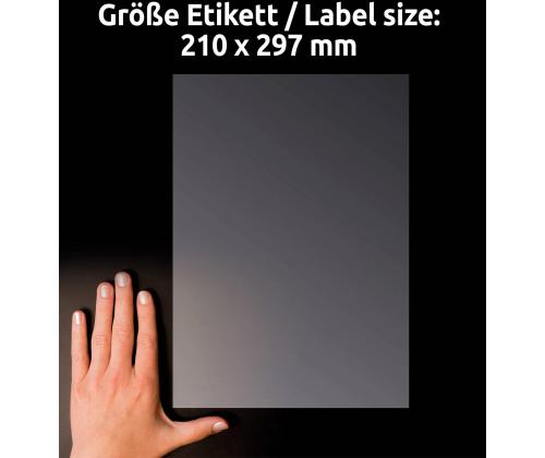 Tarratarra läpinäkyvästä polyesterikalvosta AVERY Zweckform 210x297mm 25 arkkia (L7784-25)