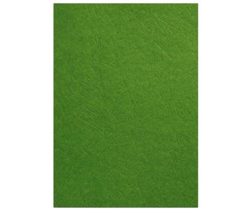 Köitekartong FORPUS A4 230g roheline 100 lehte