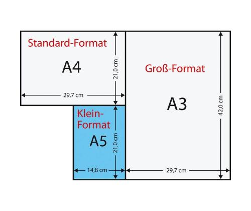 Kopiopaperi A5 80g DATA COPY ColorLok® 500 arkkia