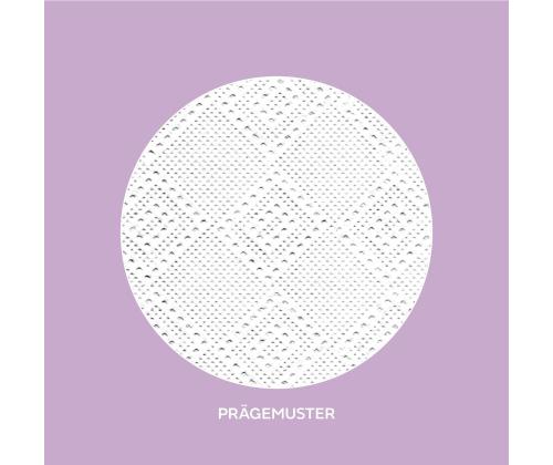 Lakanapyyhe 2-kerroksinen WEPA Z-Fold LPCB2150S 20,6x24cm 150 arkkia (276620)