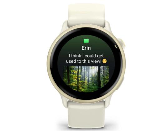 ÄLYKELLO VIVOACTIVE 6/LUNAR GOLD 010-02985-01 GARMIN