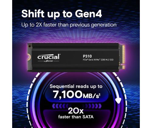 SSD PCIE G4 M.2 NVME 4TB W/HS/P310 CT4000P310SSD5 RATKAISEVA