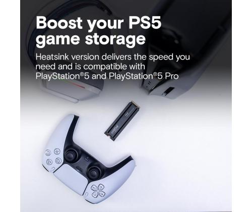 SSD PCIE G4 M.2 NVME 4TB W/HS/P310 CT4000P310SSD5 RATKAISEVA