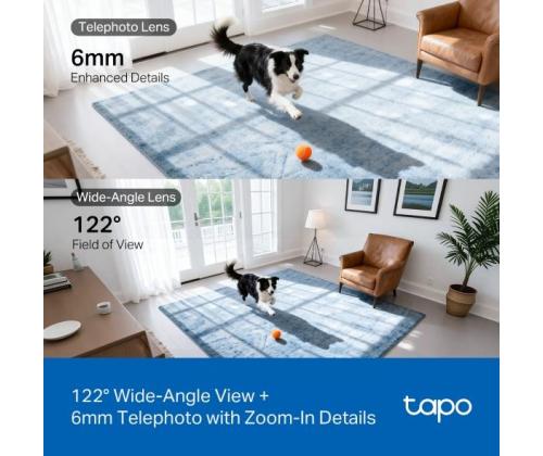 WRL-KAMERAN PANOROINTI/KALLISTUS/KAKSOISKAMERA TAPO C245D TP-LINKKI