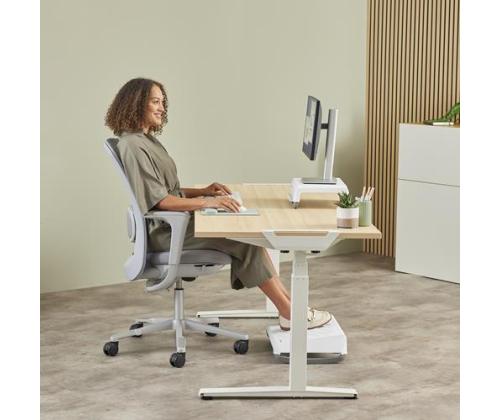 HIIREN KÄMMENEN RANNETUKI/SAGE 100142568 FELLOWES