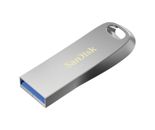 MUISTIASEMA FLASH USB3.1/256GB SDCZ74-256G-G46 HINKILEVY