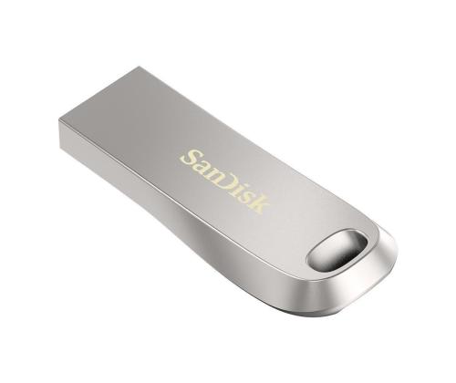 MUISTIASEMA FLASH USB3.1/256GB SDCZ74-256G-G46 HINKILEVY