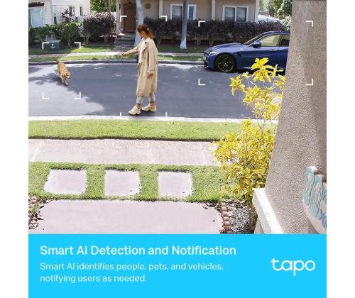 WRL-KAMERA SMART H.264/TAPO C420S2 TP-LINKKI