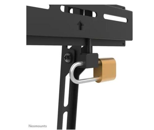 Teleri seinakinnitus WL30-350BL14 NEOMOUNTS