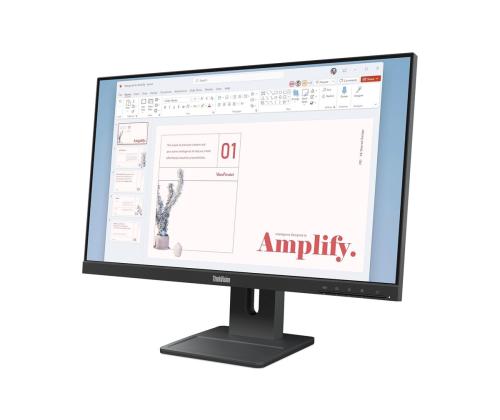 LENOVO ThinkVision E24-40 23,8 tuumaa