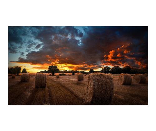 SAMSUNG VM55B-U 55-tuumainen kosketukseton 16:9 -näytönohjain