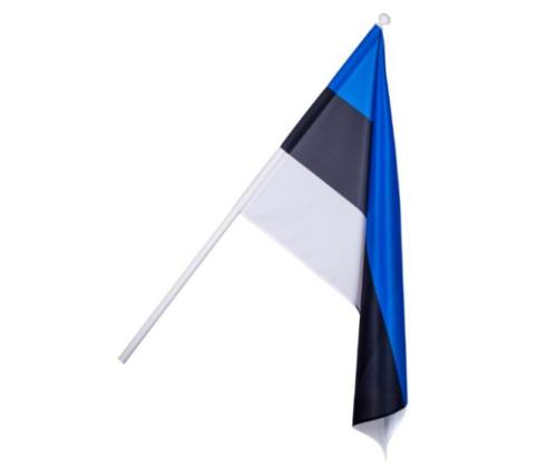 Talolippu Viro 105x165cm