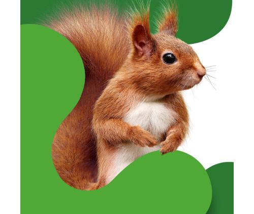 Vetopyyherulla/keittiörulla Serla 4rl/pkt