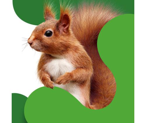 Vetopyyherulla/keittiörulla Serla 4rl/pkt