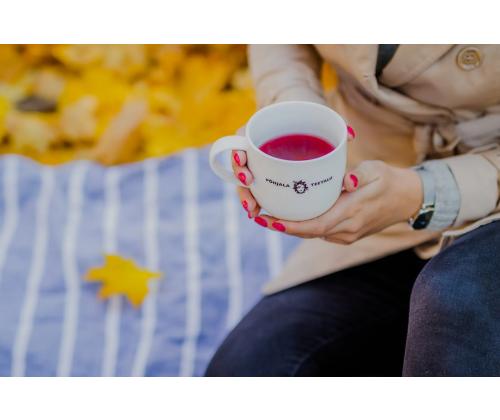 Marjatee PÖHJALA TETALU vihreä tee mustaherukan kera 10 kpl