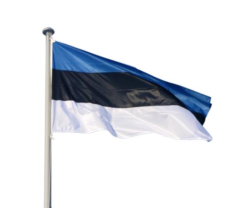 Maston lippu Viron 105x165cm