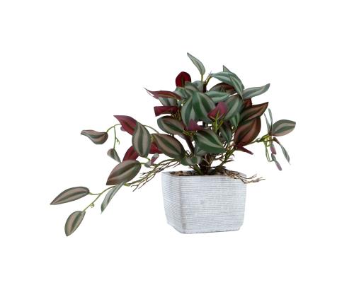 Keinotekoinen kasvi GREENLAND H19cm seeprakukka ruukussa